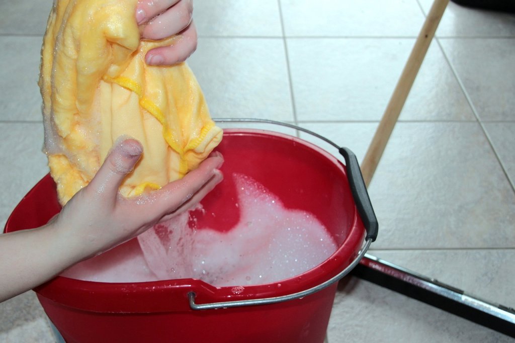 Cleaning cloth and bucket of water. Image by <a href="https://pixabay.com/users/myriams-fotos-1627417/?utm_source=link-attribution&utm_medium=referral&utm_campaign=image&utm_content=1290940">Myriams-Fotos</a> from <a href="https://pixabay.com//?utm_source=link-attribution&utm_medium=referral&utm_campaign=image&utm_content=1290940">Pixabay</a>.