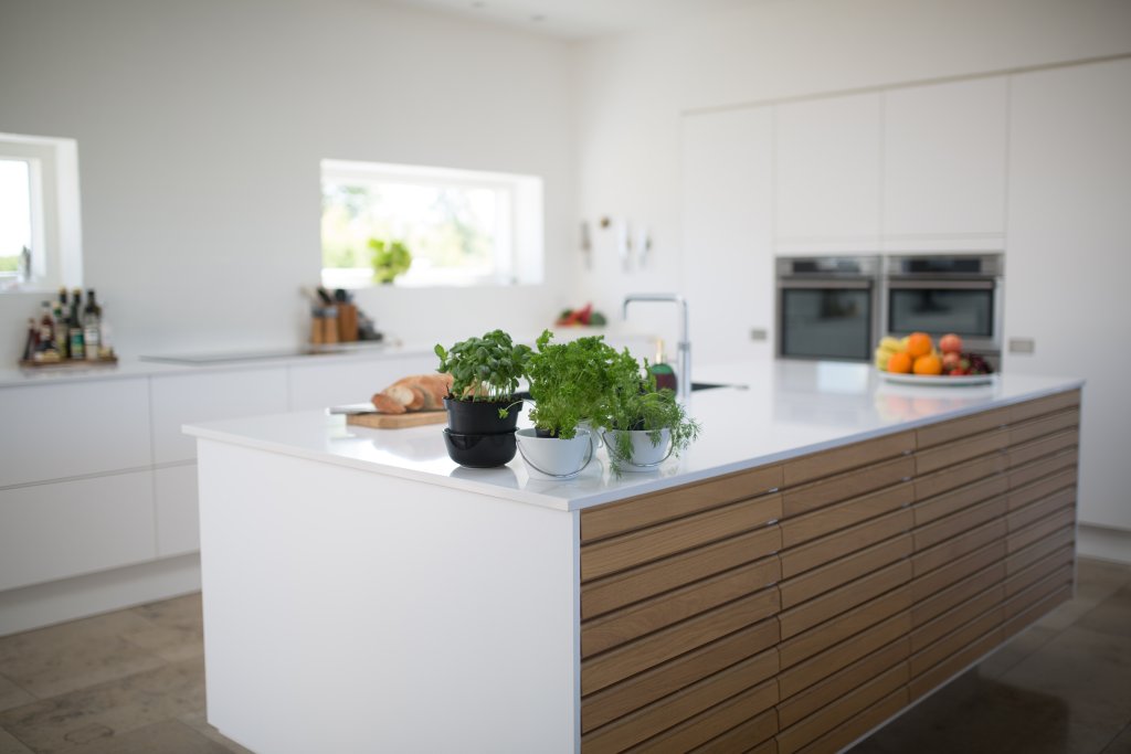 Green-leafed plants on kitchen island. Photo by Rene Asmussen from Pexels.